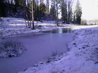 A frozen pond