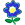 blue flowering plant