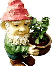 Planting in containers makes moving plants easy