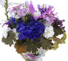 teacup with flowers