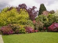 Flowers, foliage and lawn