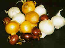 onions