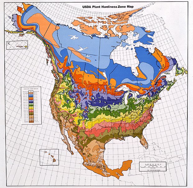 Hypertext version of USDA Hardiness Zone Map