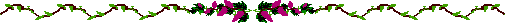a vine bar