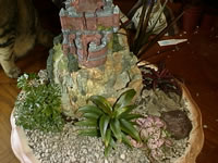 A Dish Garden with a Castle, a Waterfall and Plants
