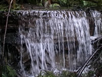 A Small Waterfall in the Garden